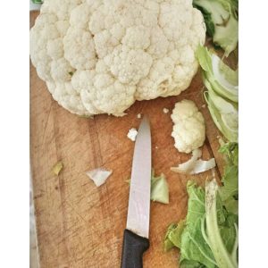 14686244_10154794676689674_2034559757_n